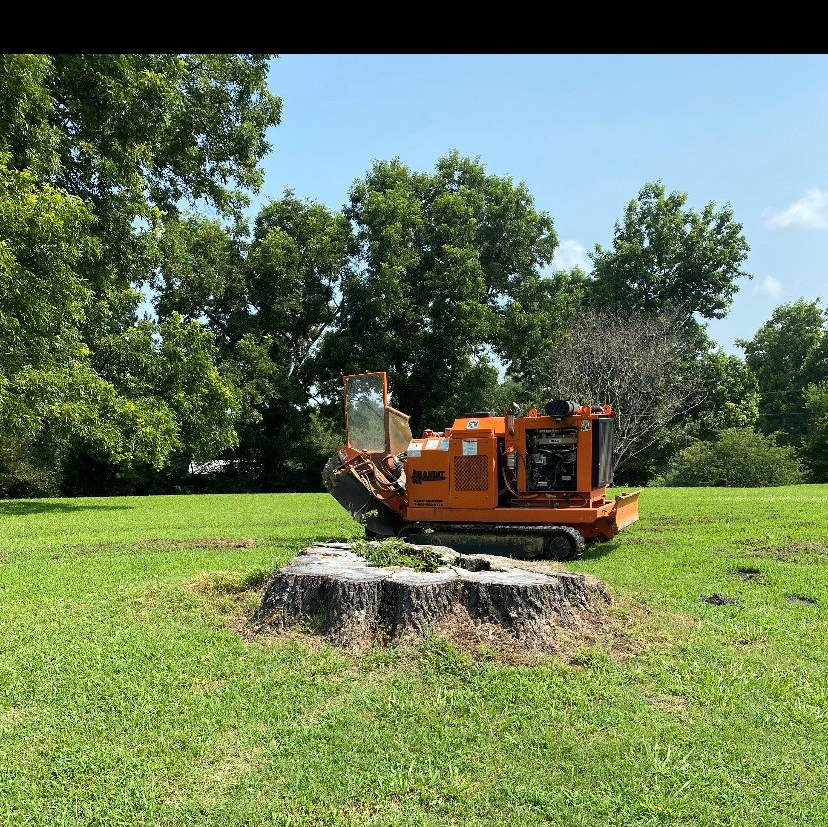 Stump Shredding — Hernando, MS — Addison Tree Care LLC