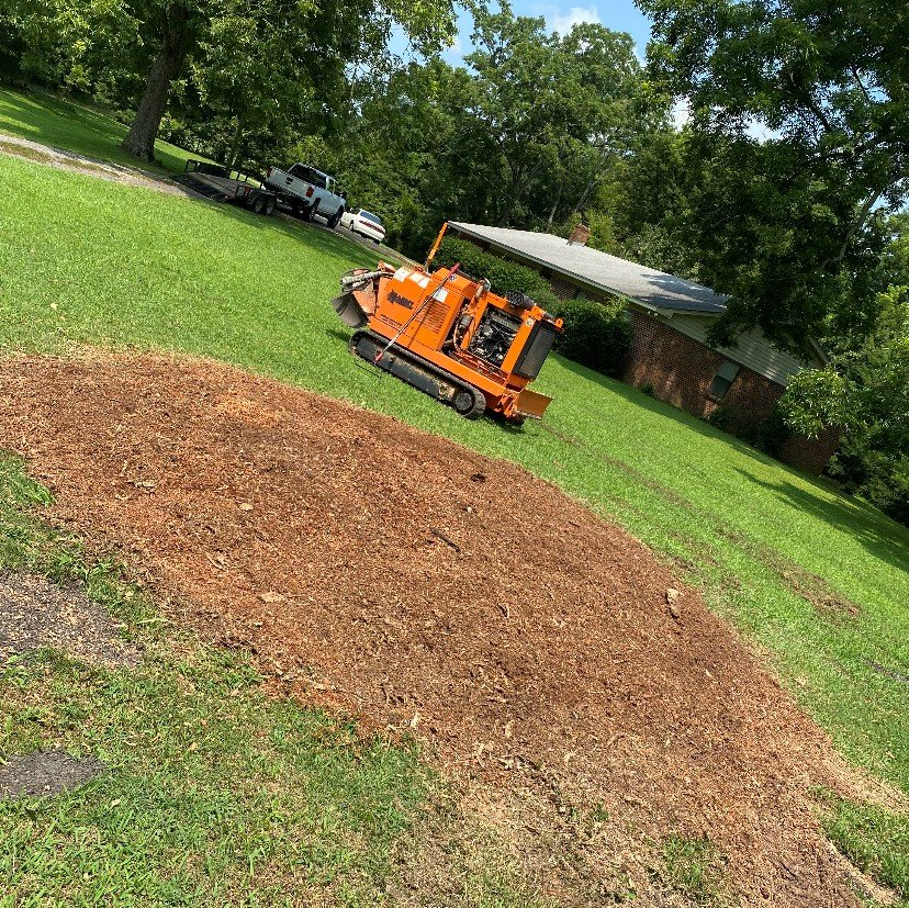 Stump Grinder — Hernando, MS — Addison Tree Care LLC