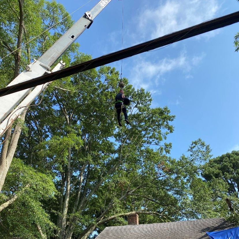 Garden Trimming — Hernando, MS — Addison Tree Care LLC Garden Trimming — Hernando, MS — Addison Tree Care LLC