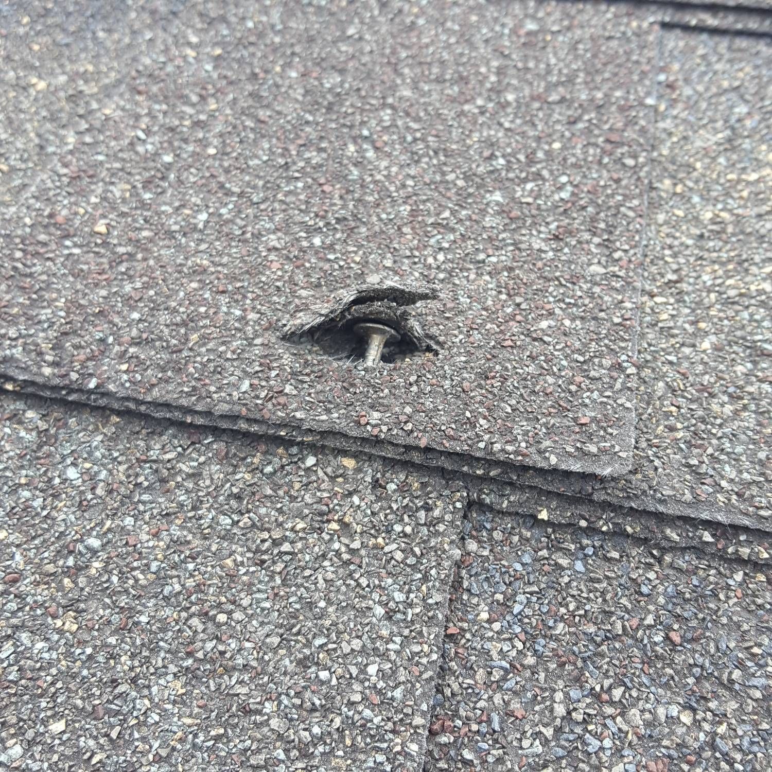 Nail Head Is Clamping — Naches, WA — Yakima Roofing & Remodeling Nail Head Is Clamping — Naches, WA — Yakima Roofing & Remodeling