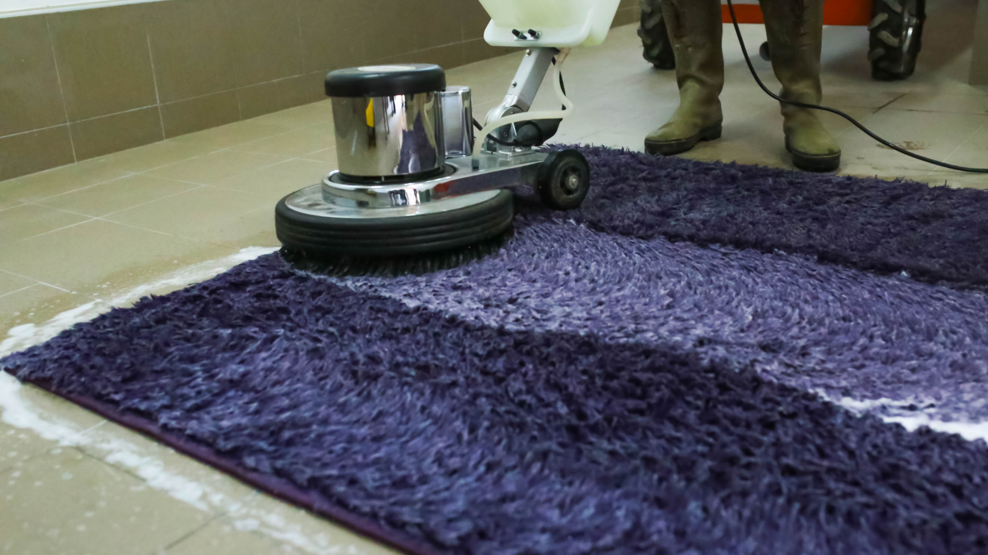 carpet cleaning
