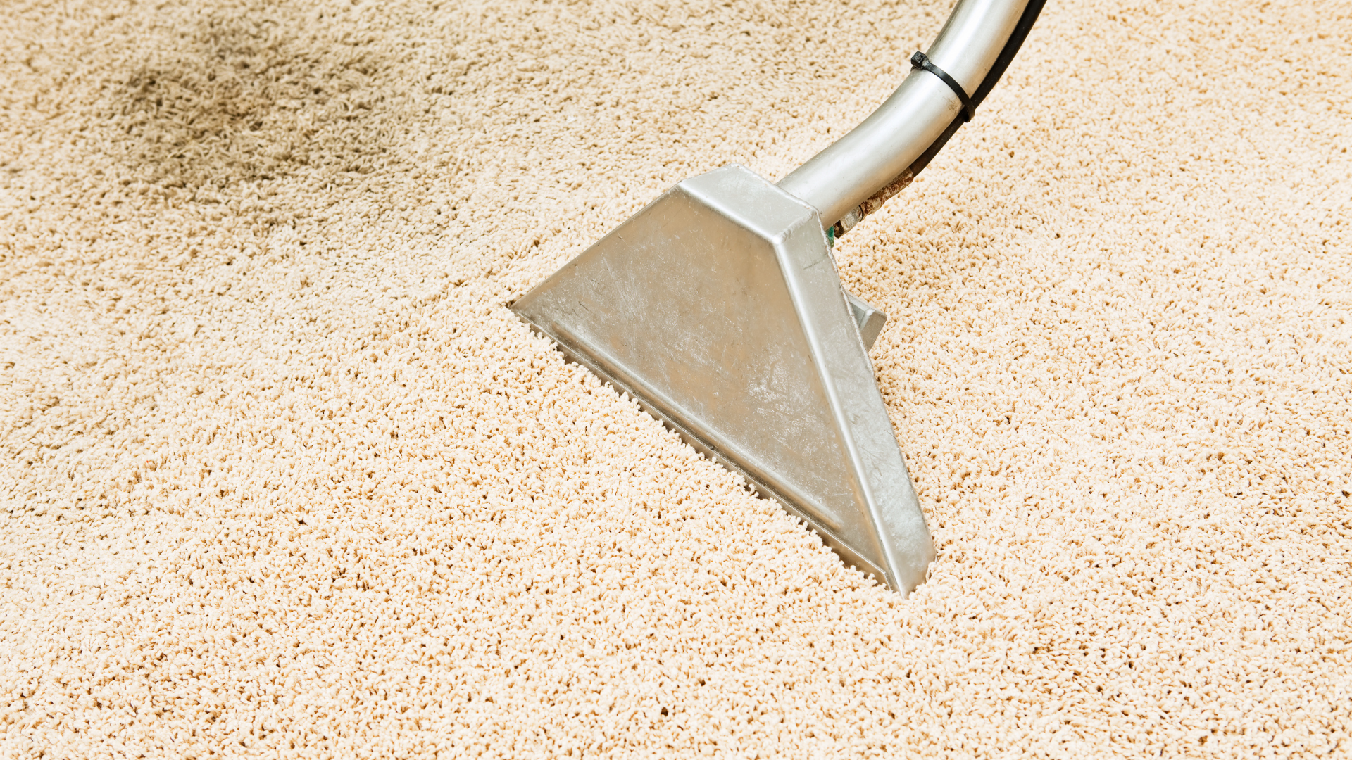 carpet cleaning