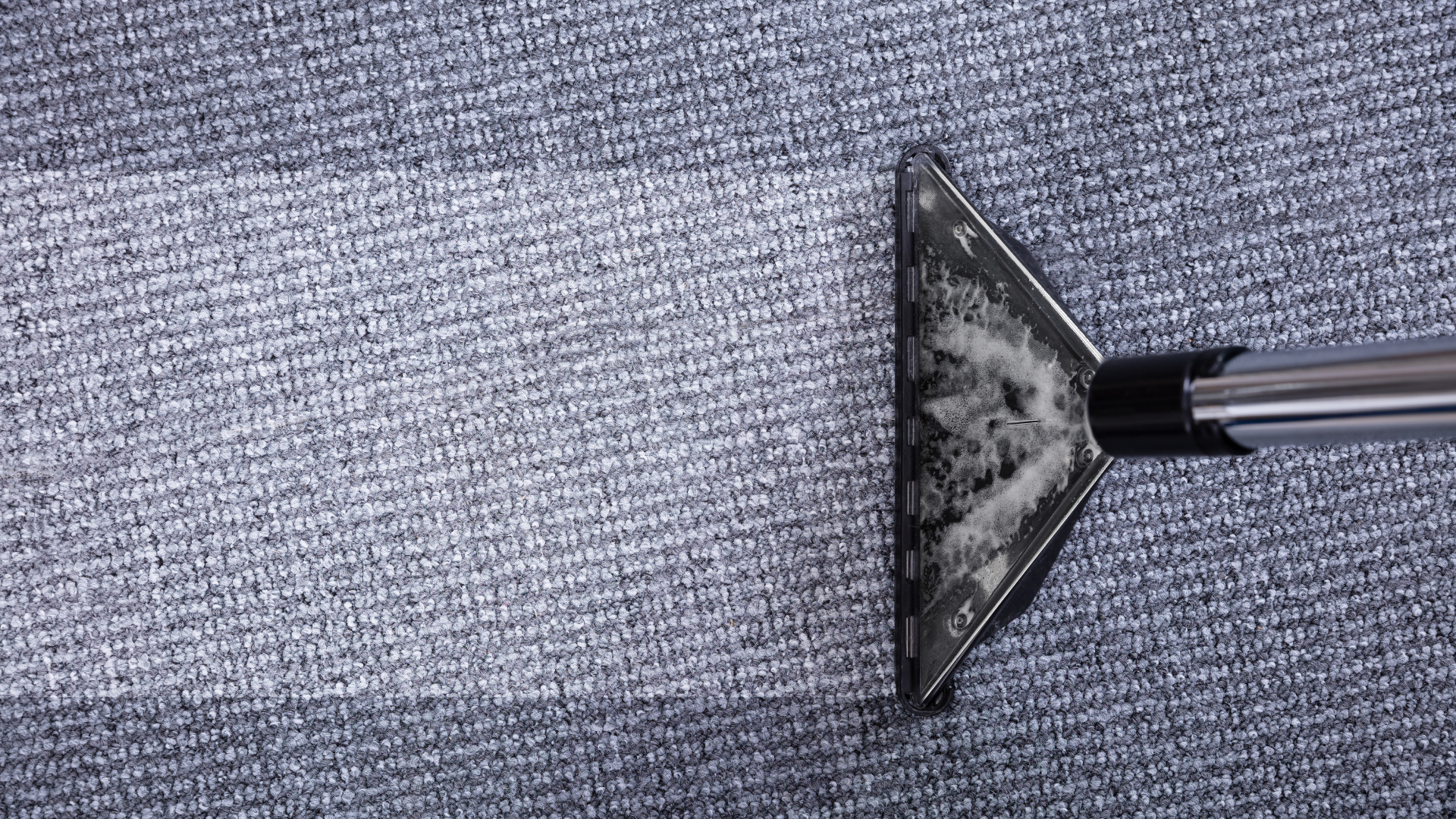 carpet cleaning