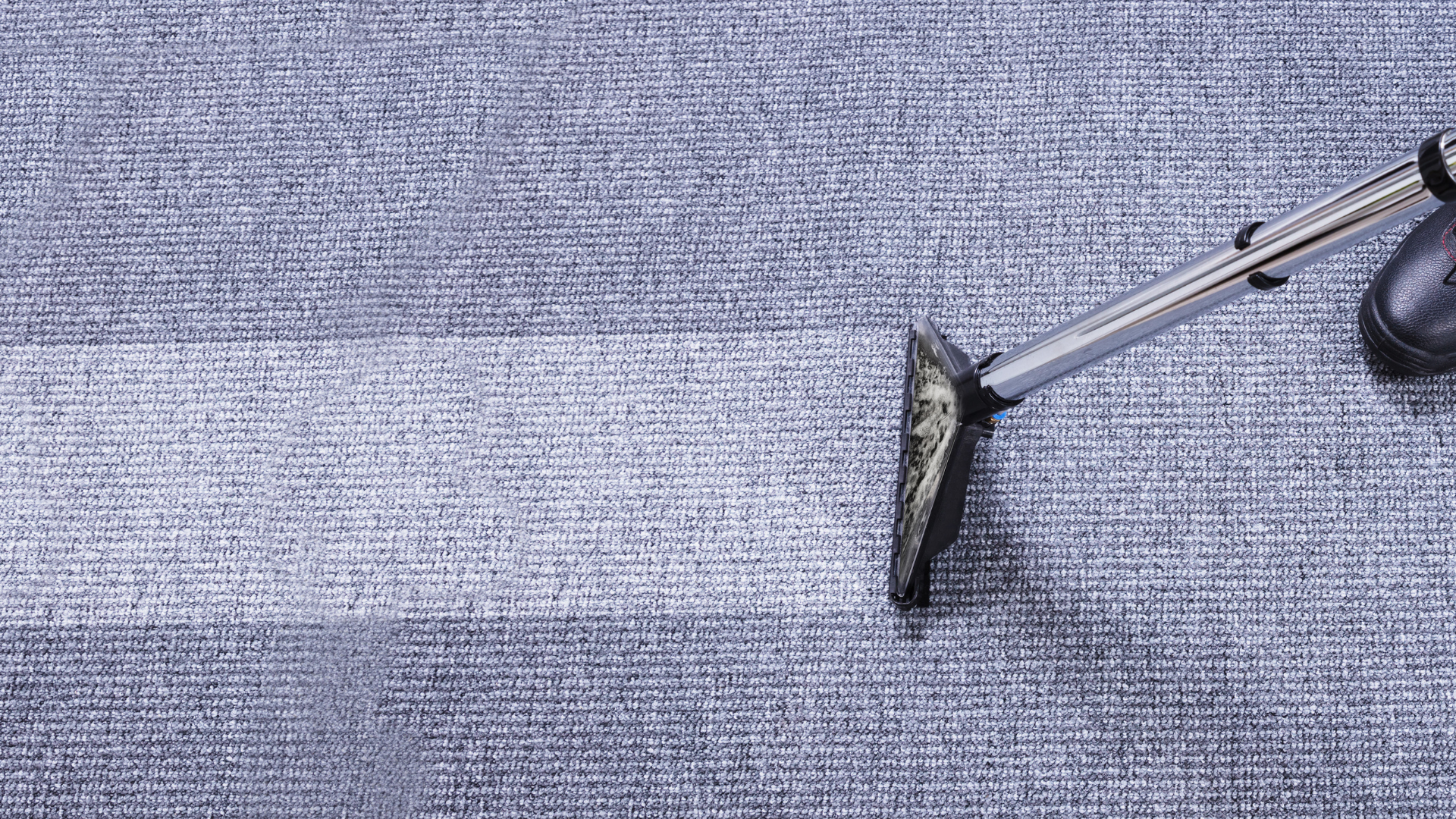 carpet cleaning