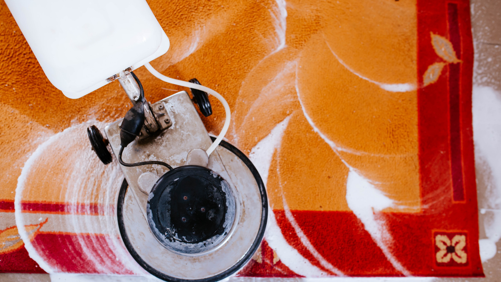 carpet cleaning