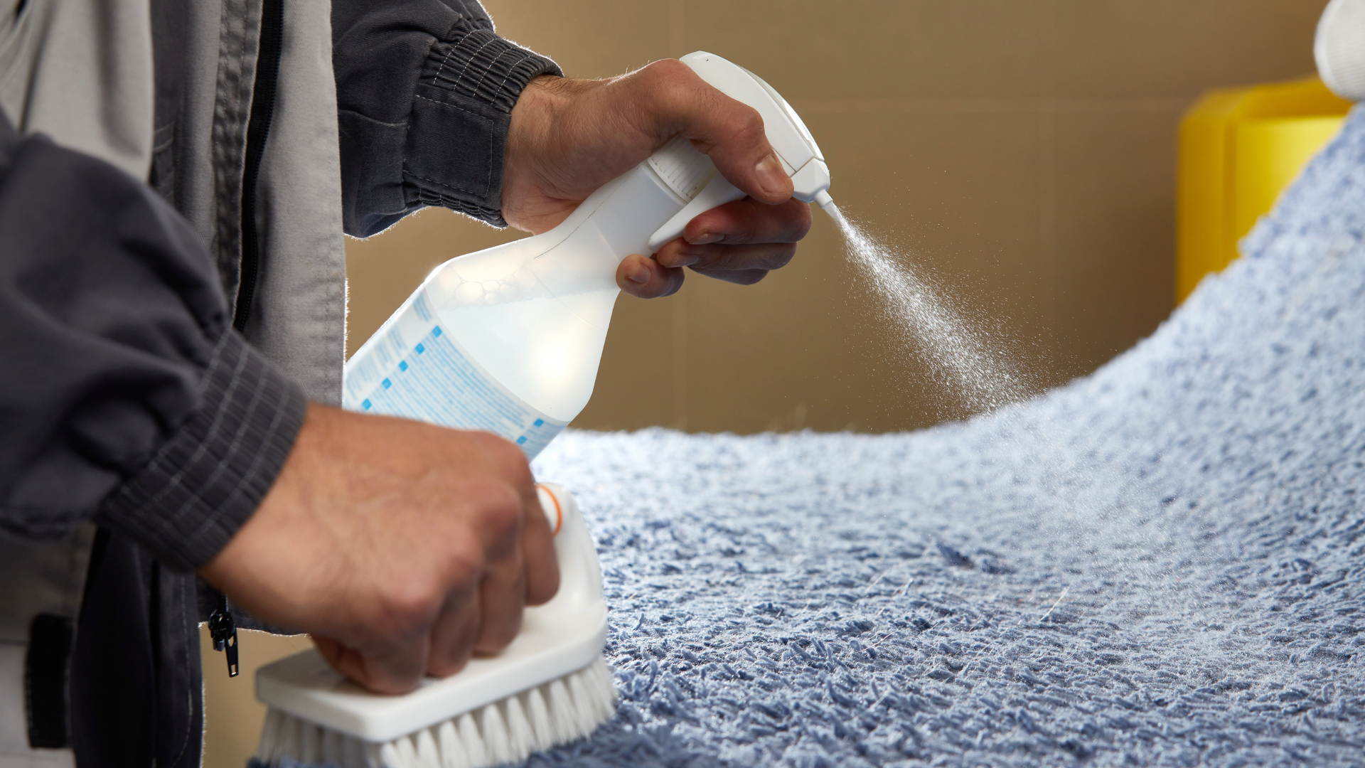 carpet cleaning