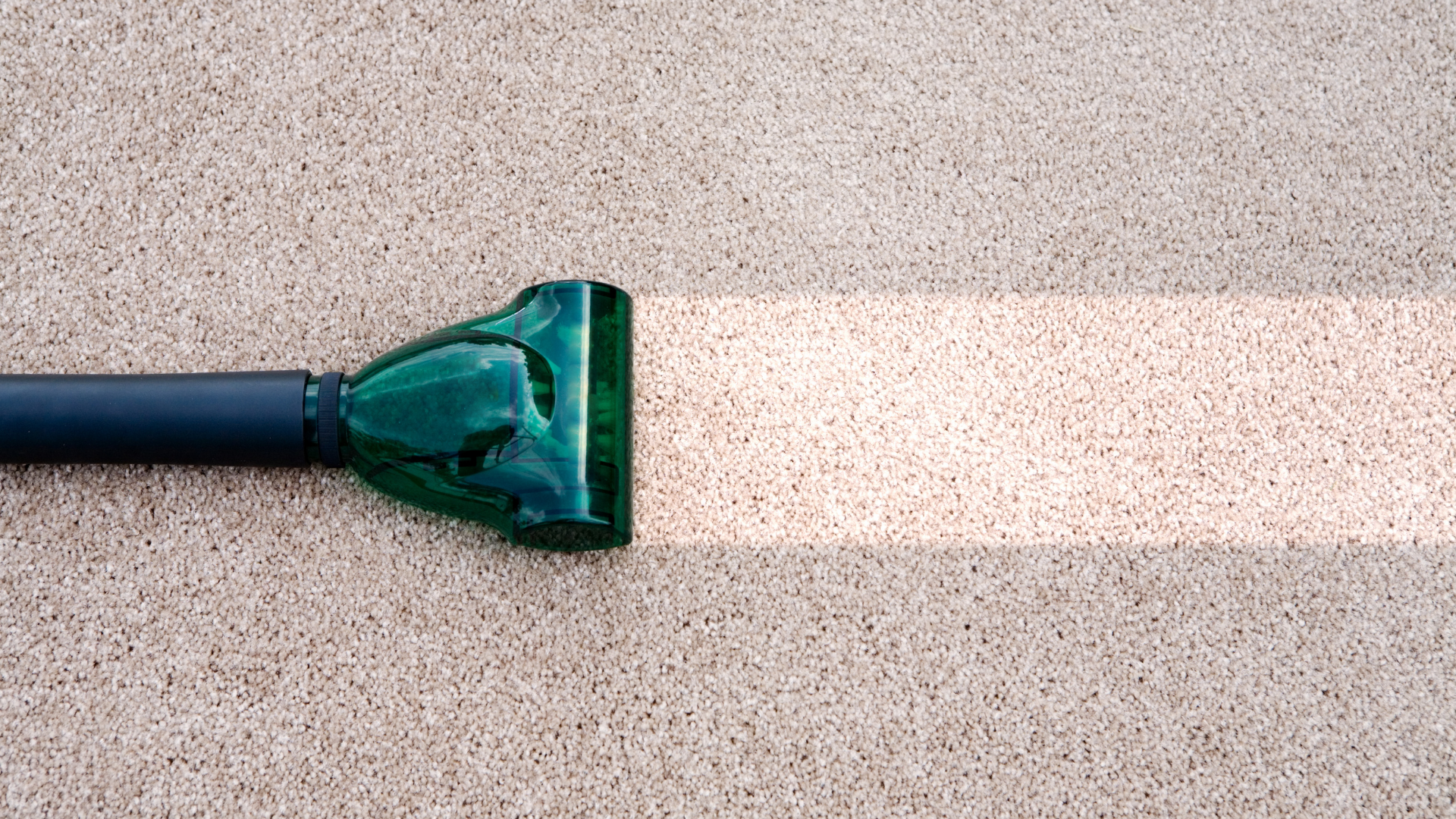 carpet cleaning