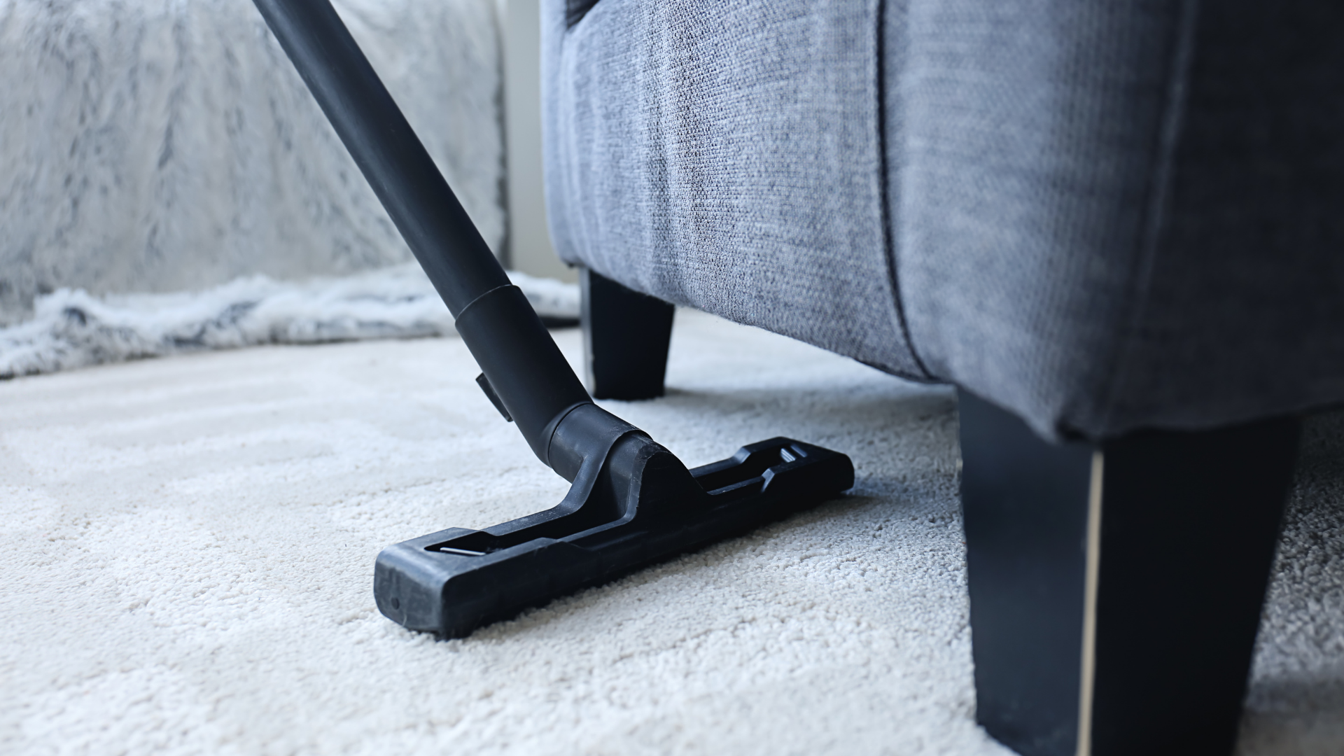 carpet cleaning
