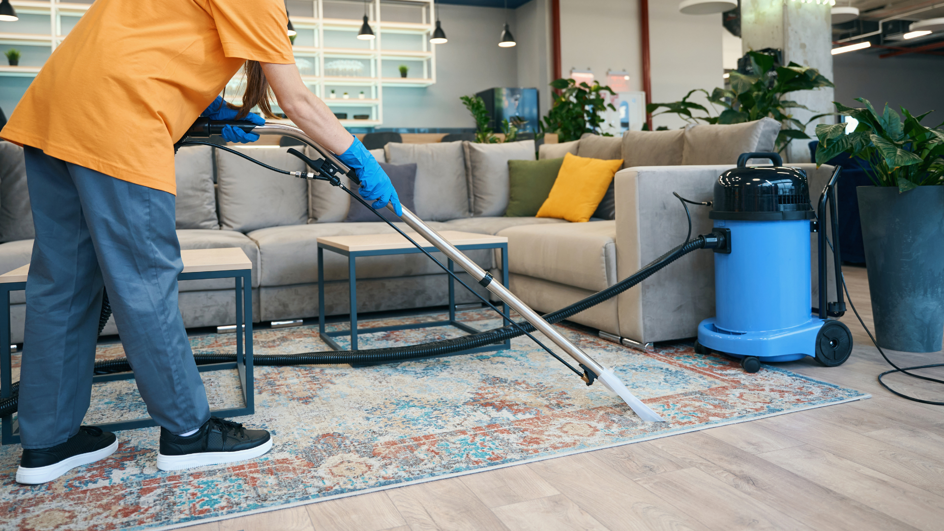 carpet cleaning