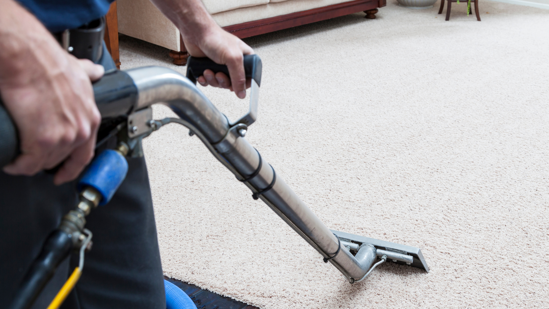 carpet cleaning