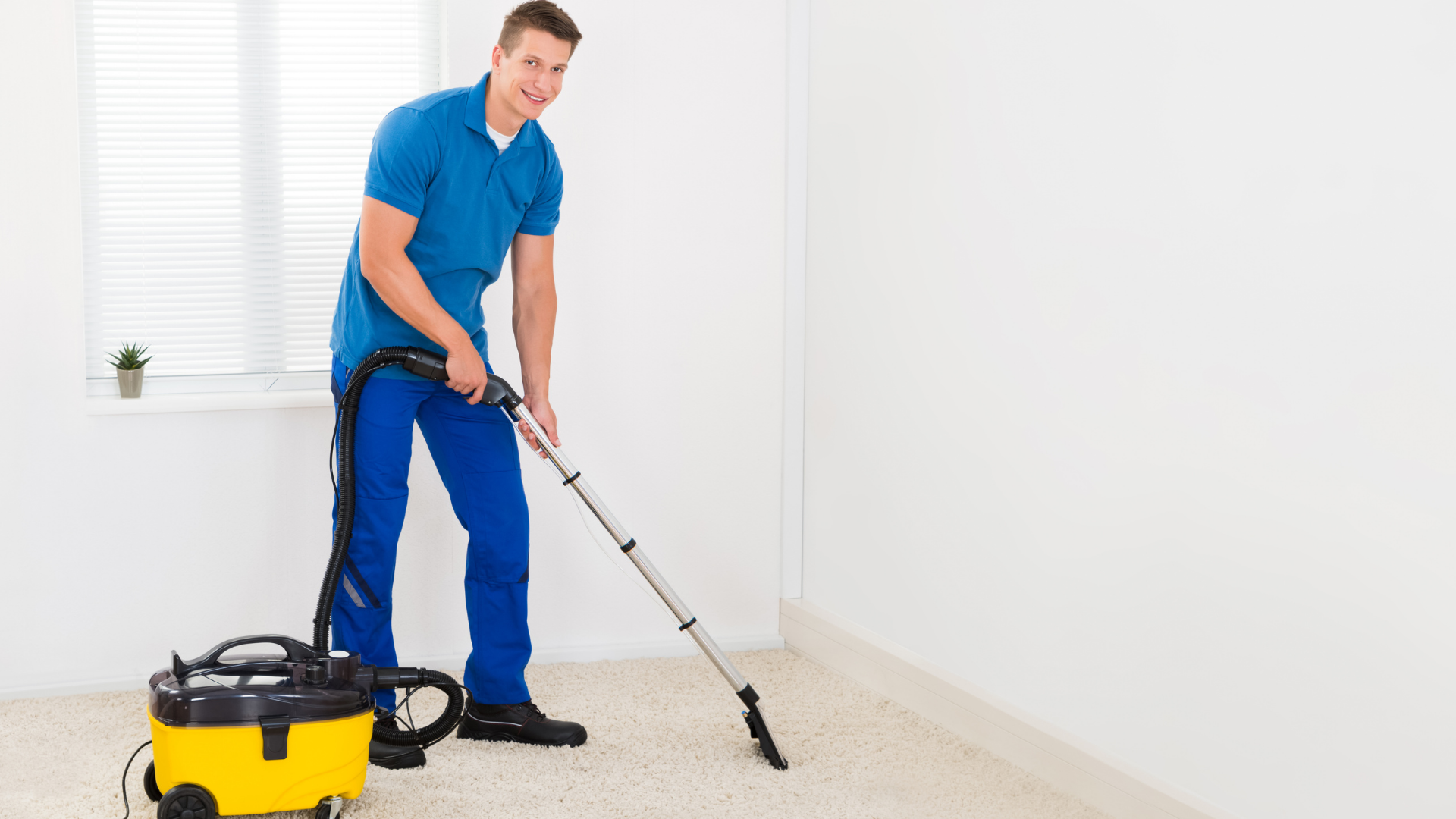 carpet cleaning