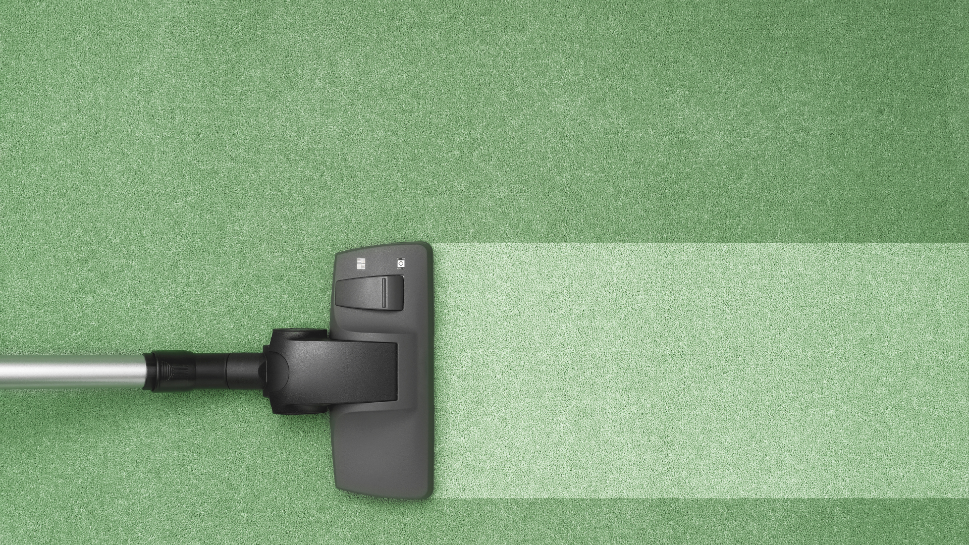carpet cleaning