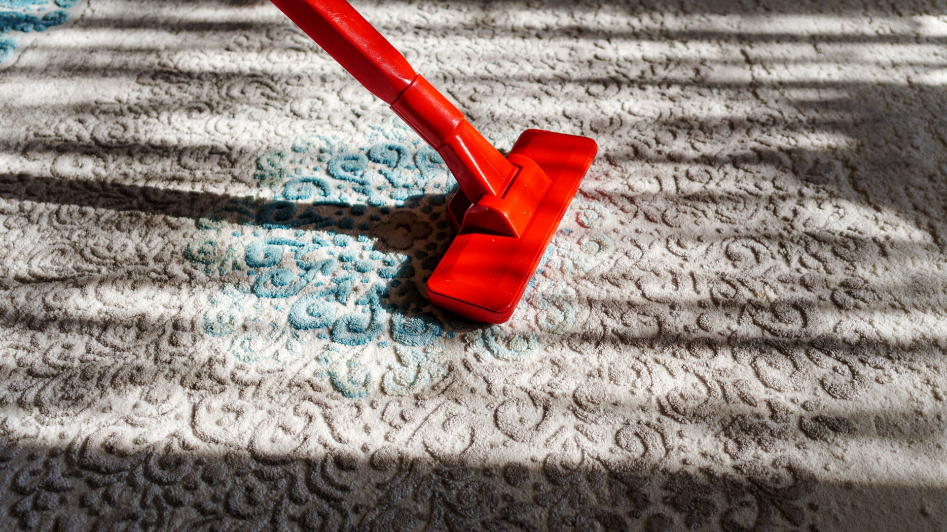 carpet cleaning