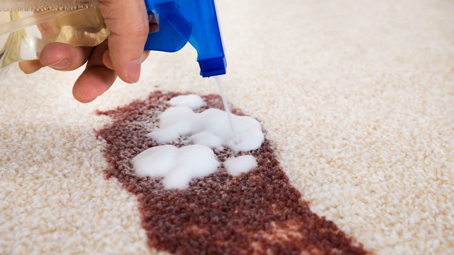 power washing sample