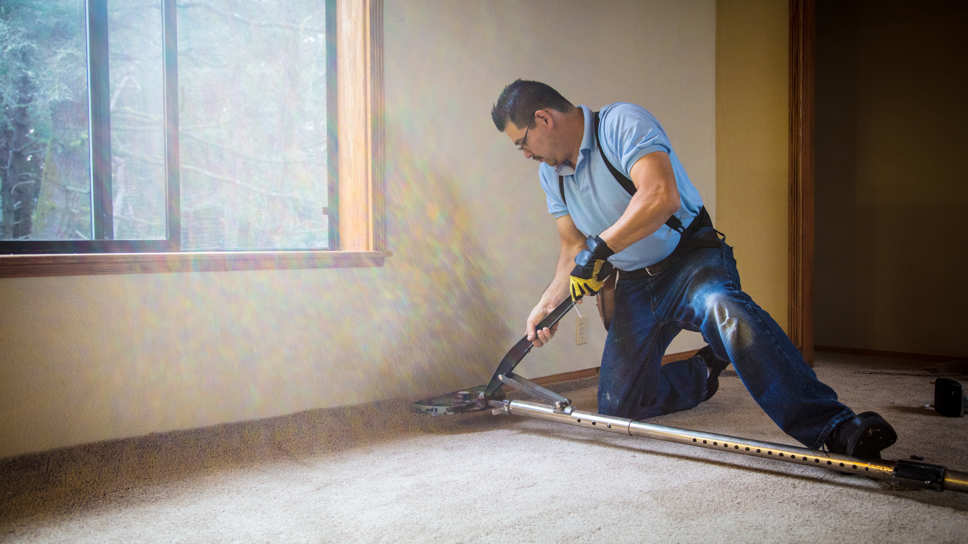carpet cleaning