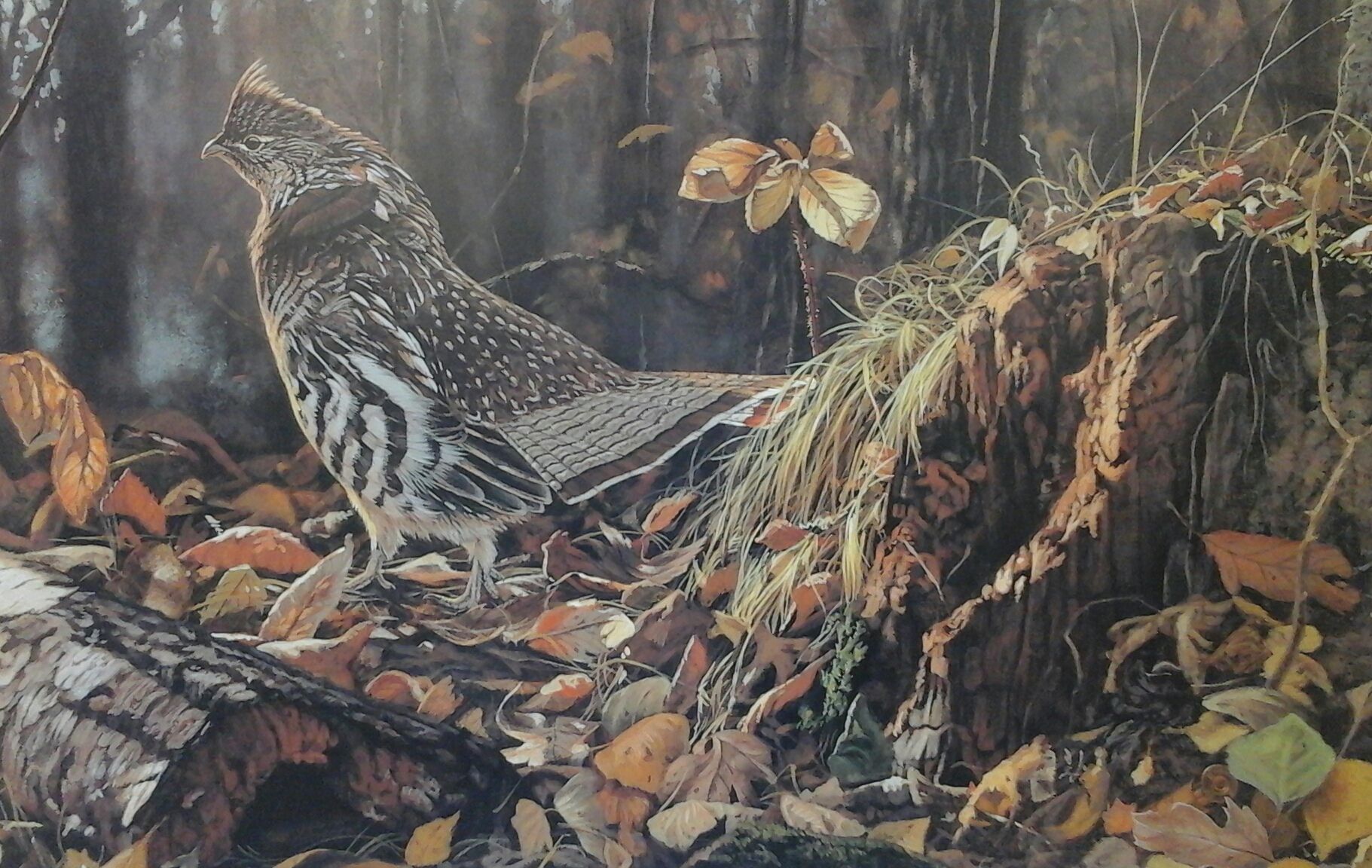 A painting of a bird standing on a log in the woods