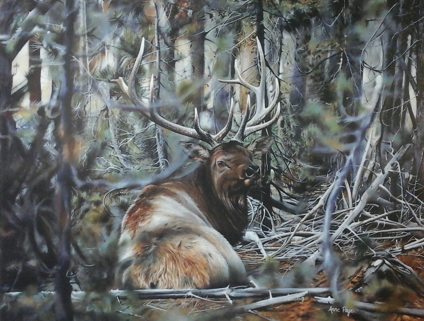 A painting of a deer laying down in the woods