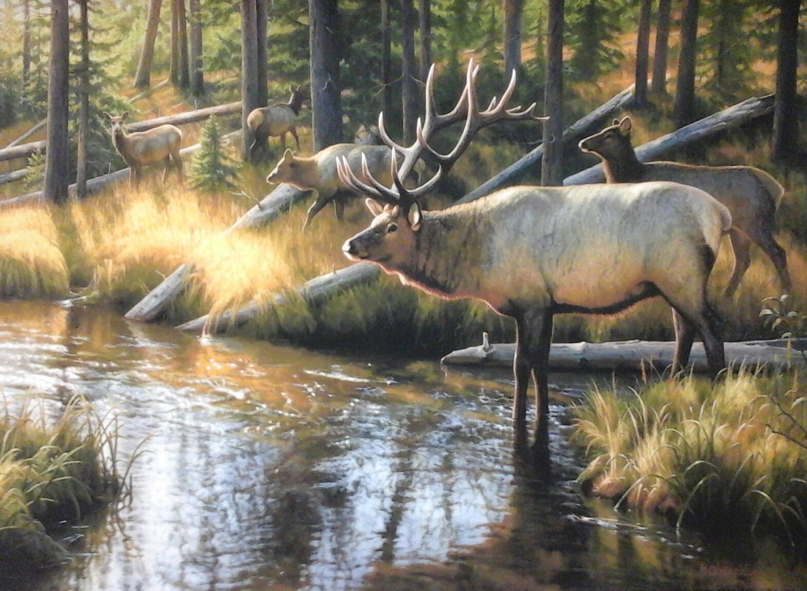 A painting of a herd of elk standing in a stream