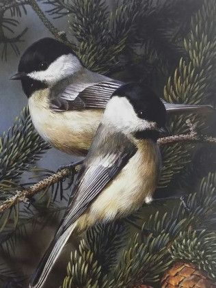 Two birds are perched on a branch of a tree.