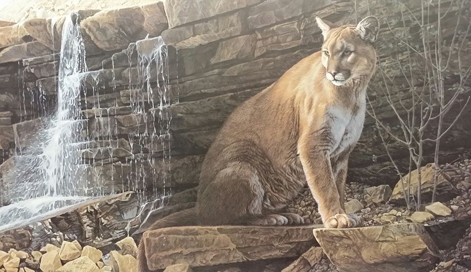 A mountain lion is sitting in front of a waterfall