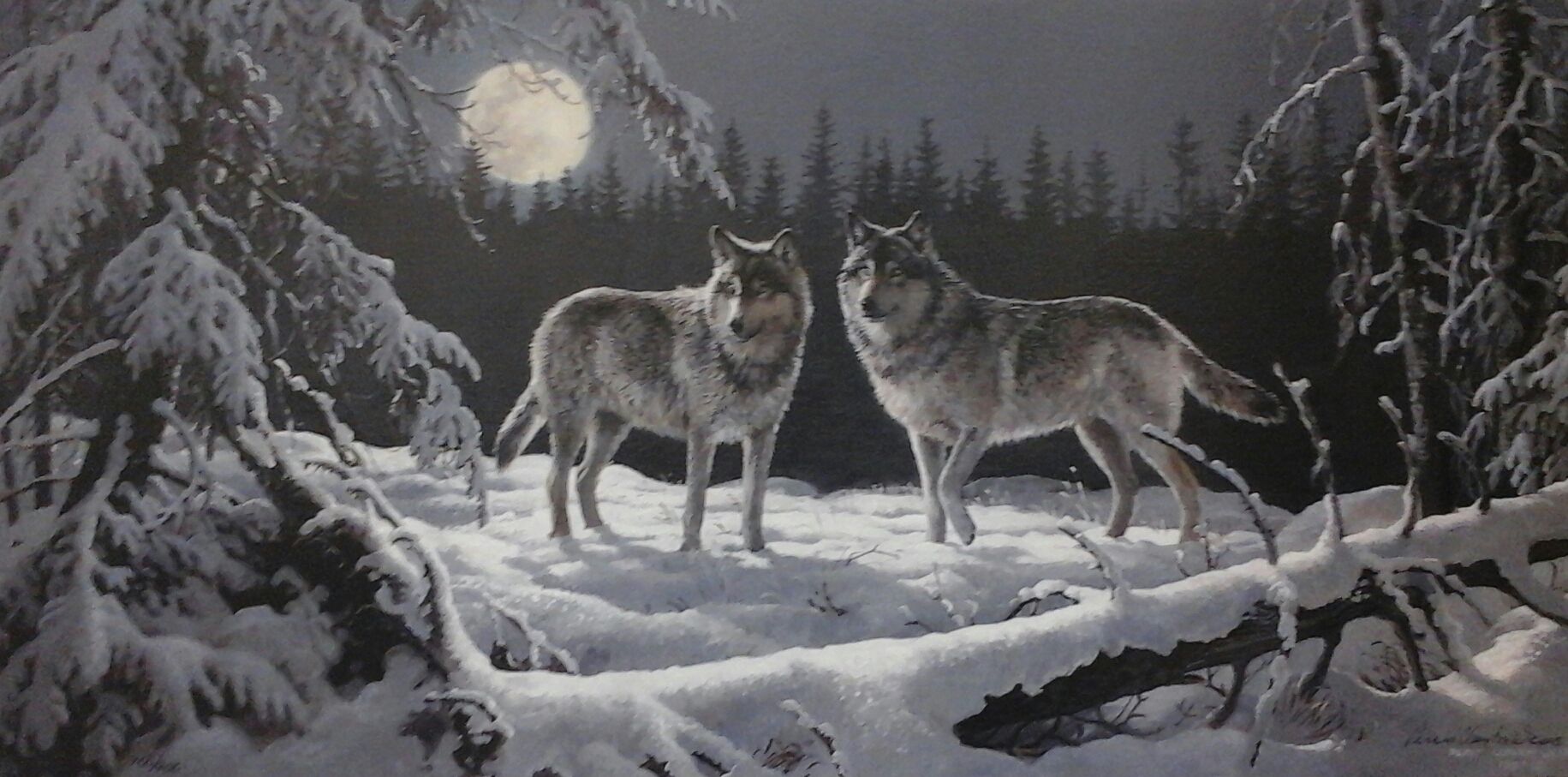 Two wolves are standing in the snow under a full moon.