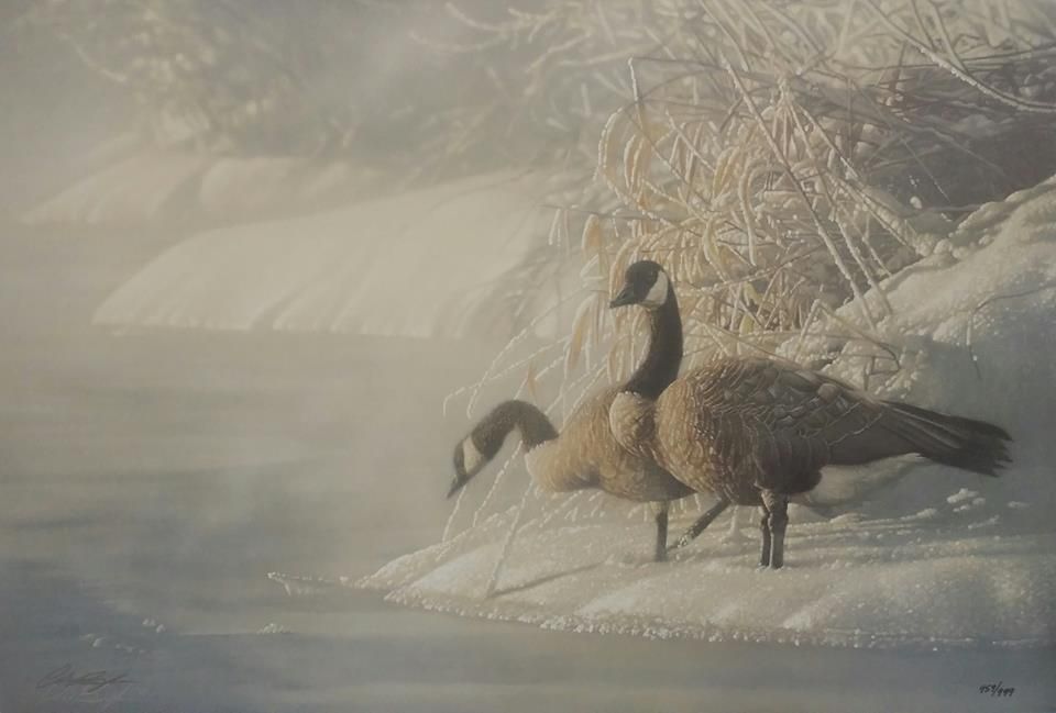 Two geese are standing in the snow near a body of water.