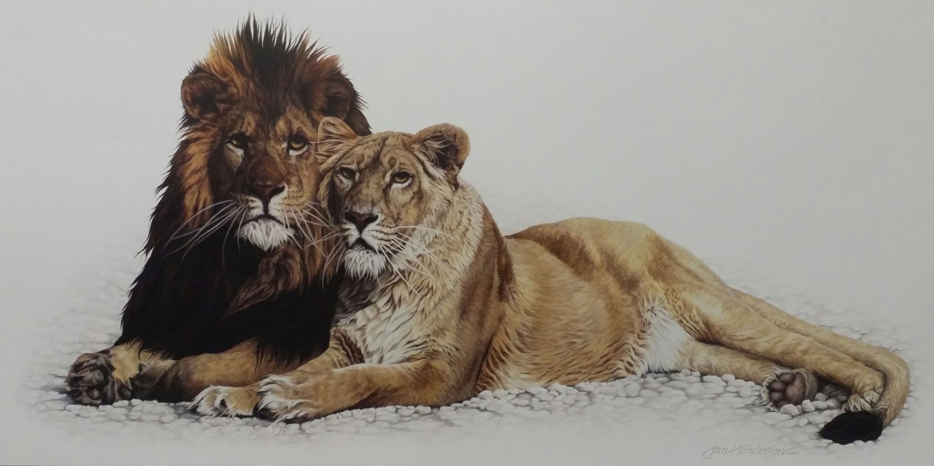 A painting of a lion and a lioness laying next to each other.