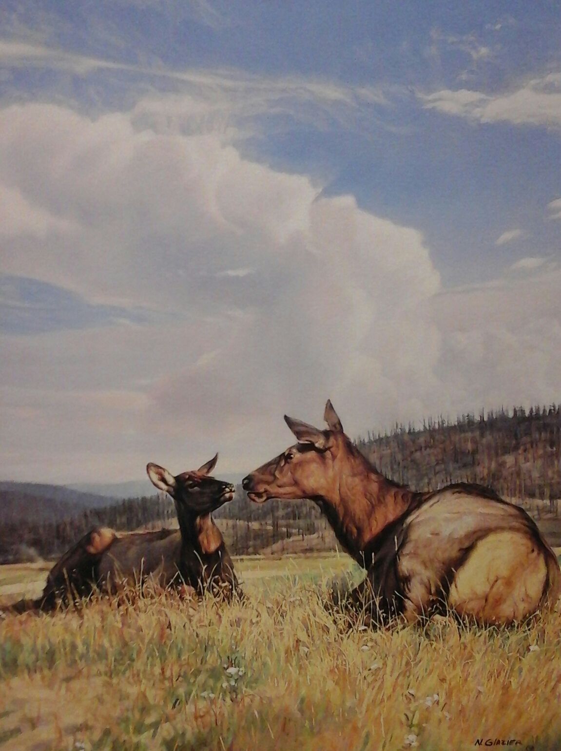 A painting of two elk laying down in a field