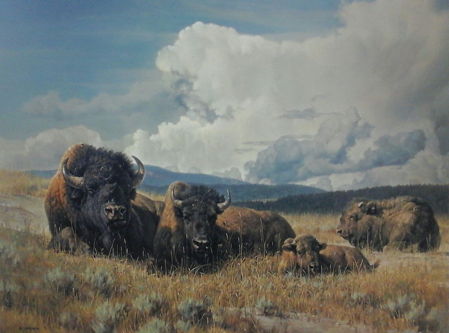 A painting of a herd of bison laying down in a field.
