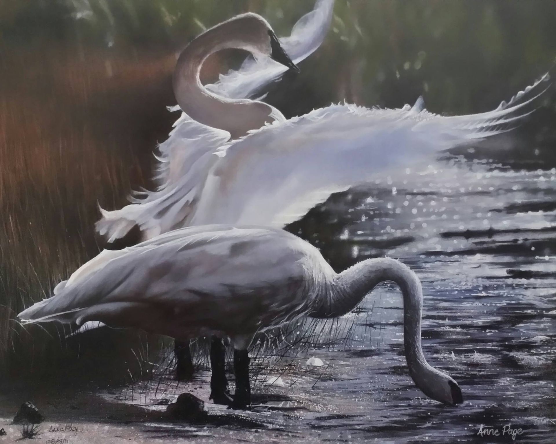A painting of two swans standing in the water