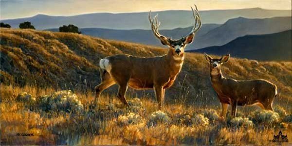 Two deer are standing in a field with mountains in the background.