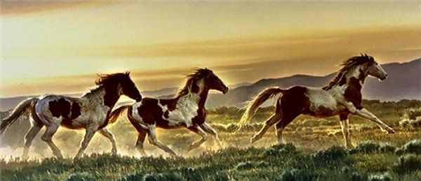 A herd of horses are running in a field at sunset.