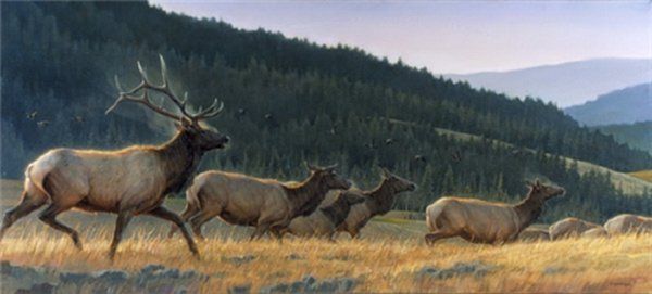 A painting of a herd of elk walking through a field.
