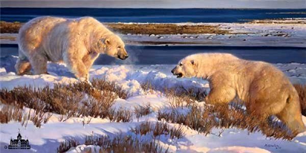 Two polar bears are standing next to each other in the snow.