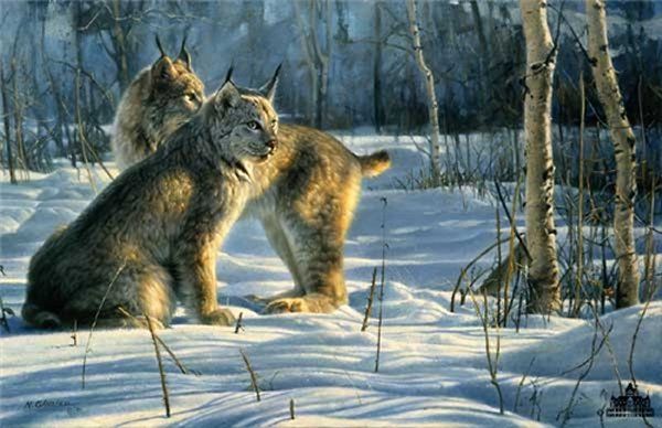 Two lynx are sitting in the snow looking at each other.