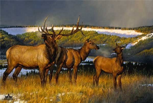 A painting of three elk standing next to each other in a field.