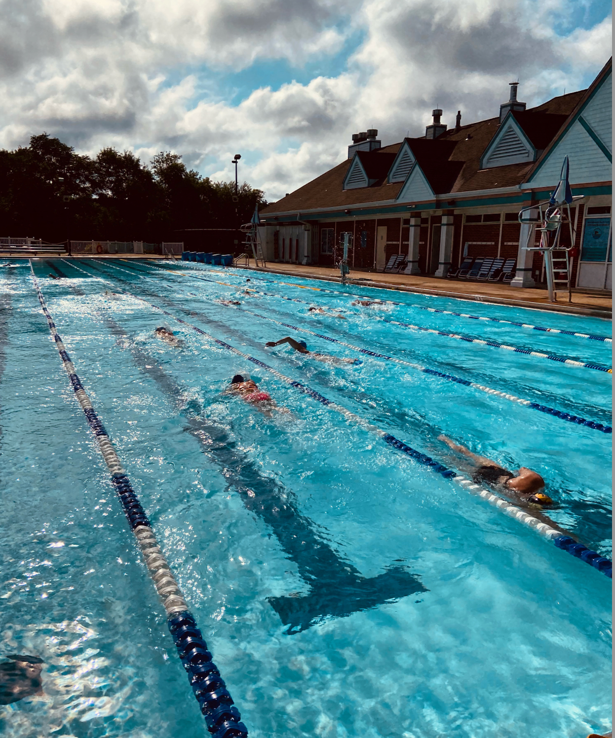 A group of people are swimming in a large swimming pool.