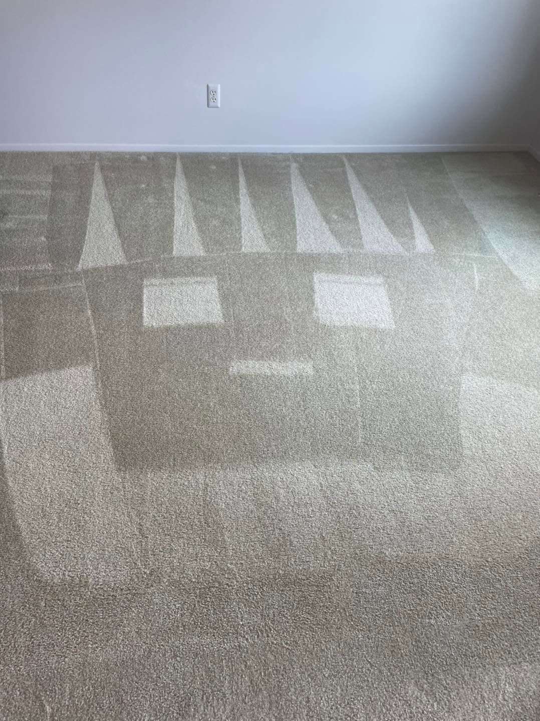 Carpeted room with a large sunlit patch on the floor and a blank wall in the background