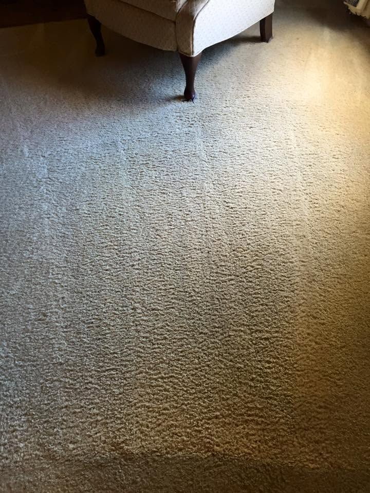 Carpeted floor beside a cream armchair with a dark wooden leg in the corner of a room