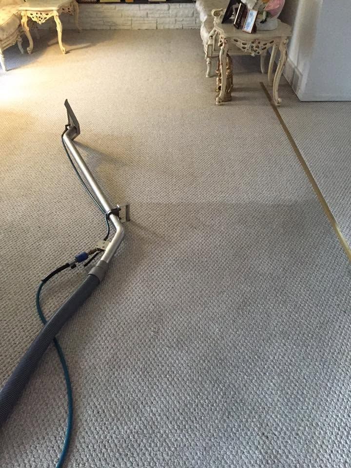 Carpeted living room with a vacuum cleaner hose and wand on the floor near a side table.