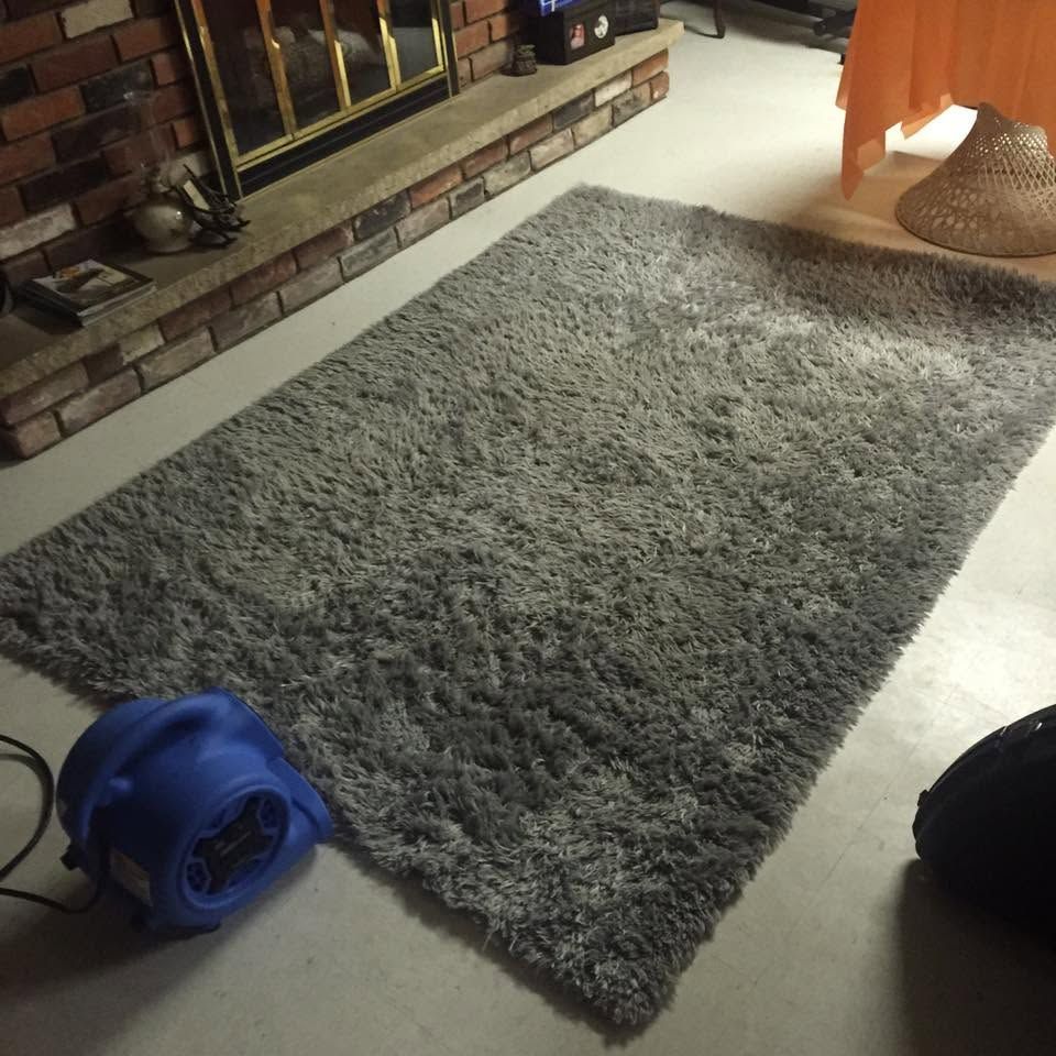Gray shag rug on a hardwood floor near a brick fireplace, with a blue fan and black object nearby.