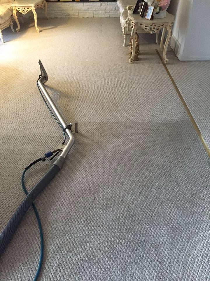Vacuum cleaner hose on a beige carpet in a living room beside a small side table