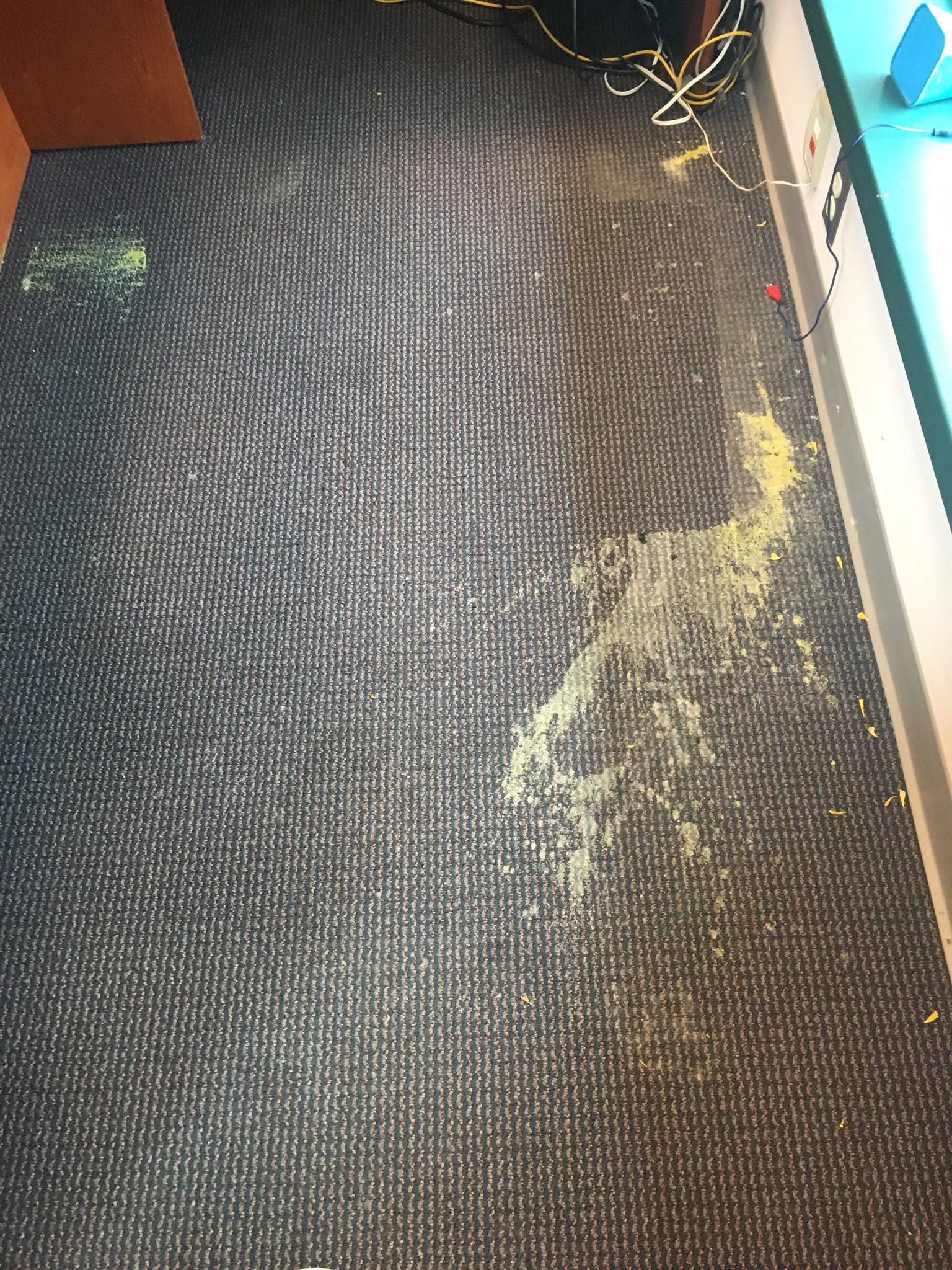 Carpeted floor with a yellowish stain and scattered debris near a wall and cables.