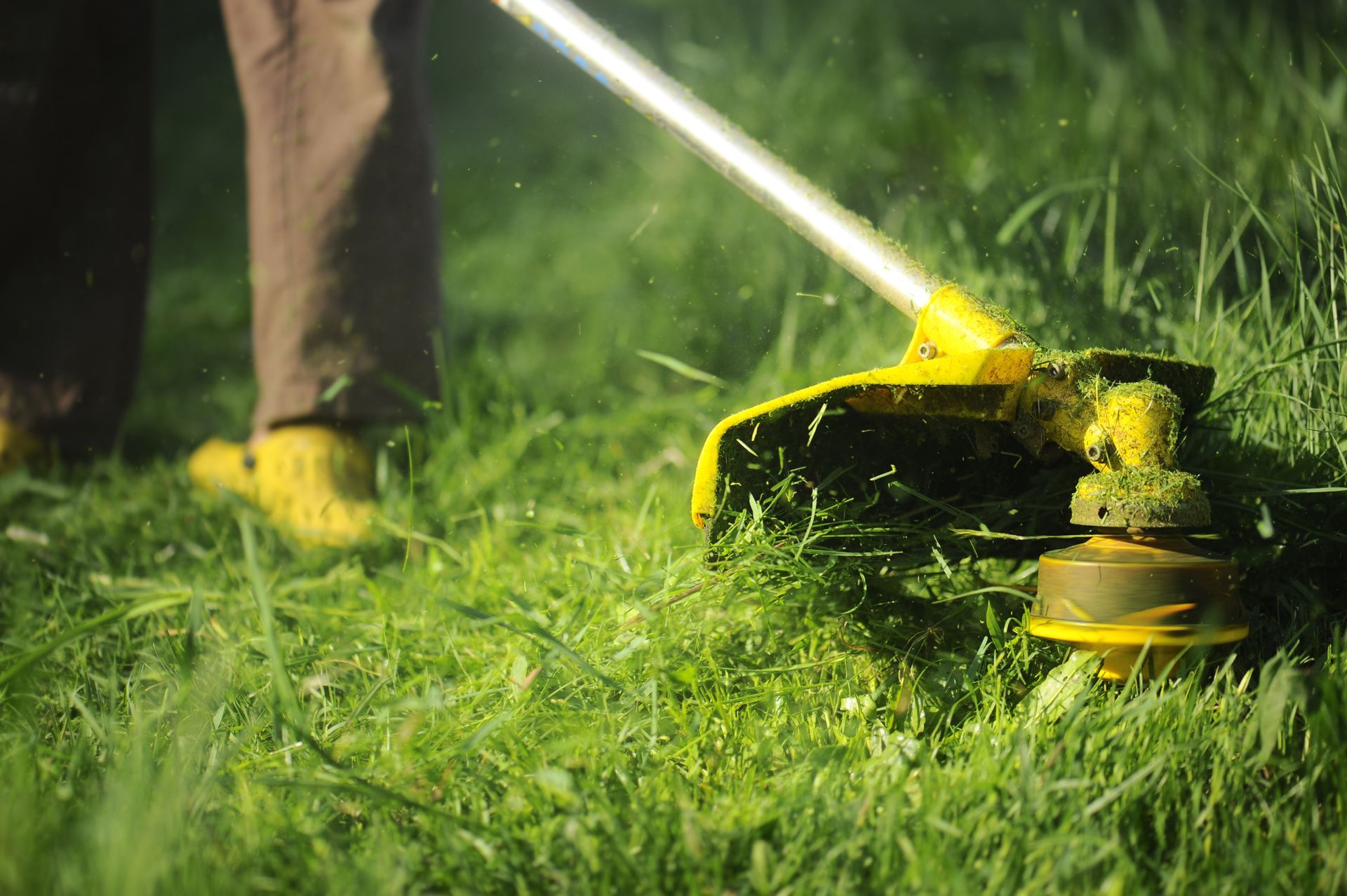 Person using a yellow weed whacker to trim tall green grass outdoors.