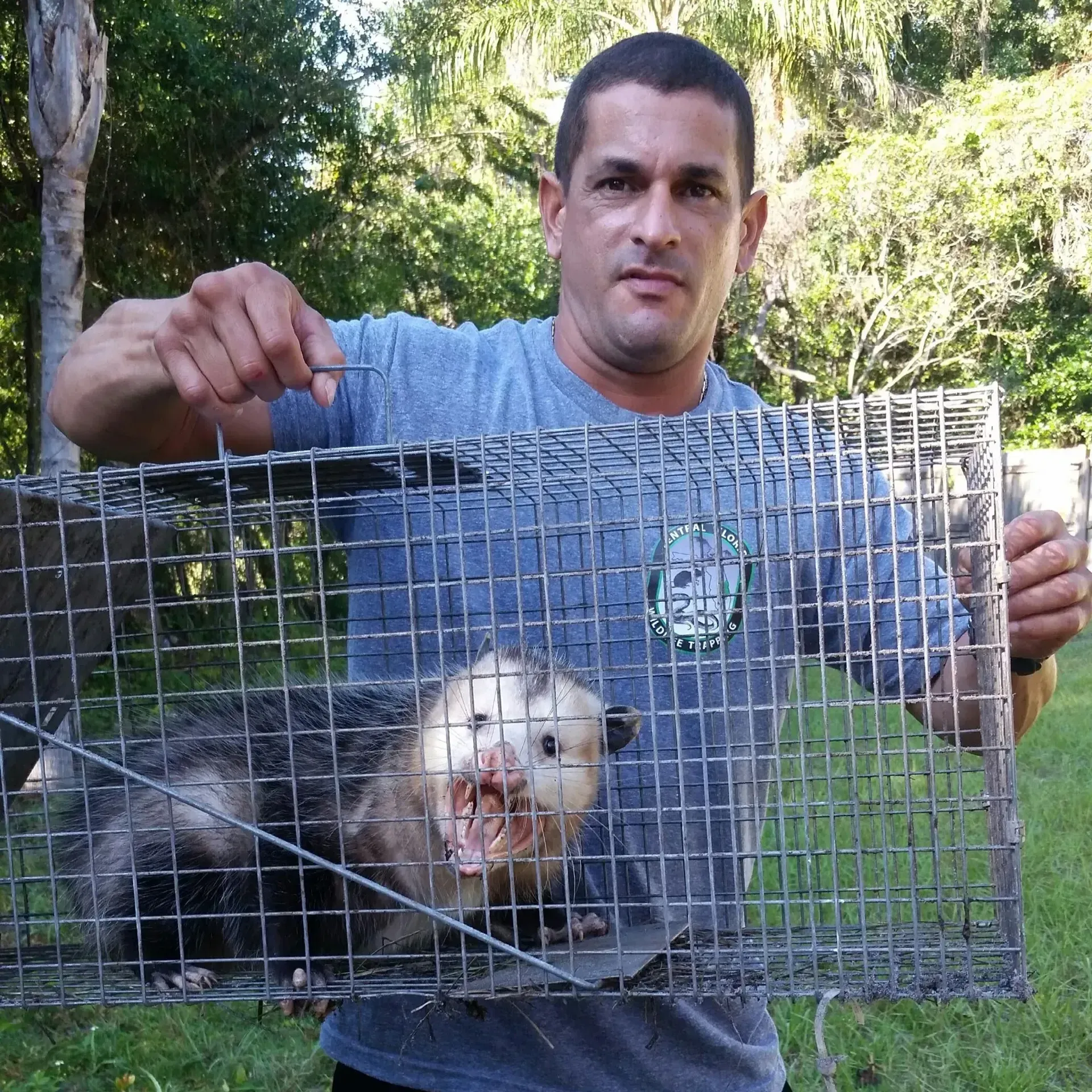 A man is holding a cage with an opossum in it