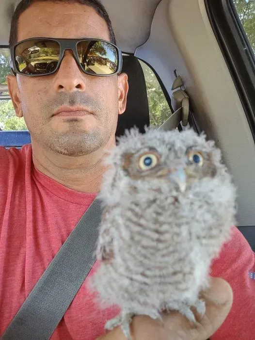 angel cortes holding an owl