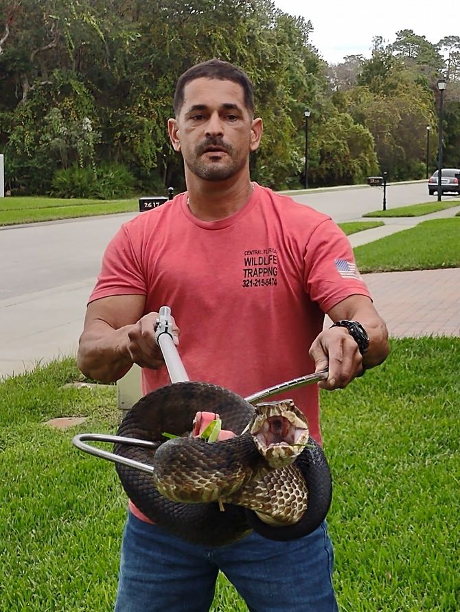 Man in red shirt holding two large fish by the tail on a suburban street, with a tree-lined road behind him