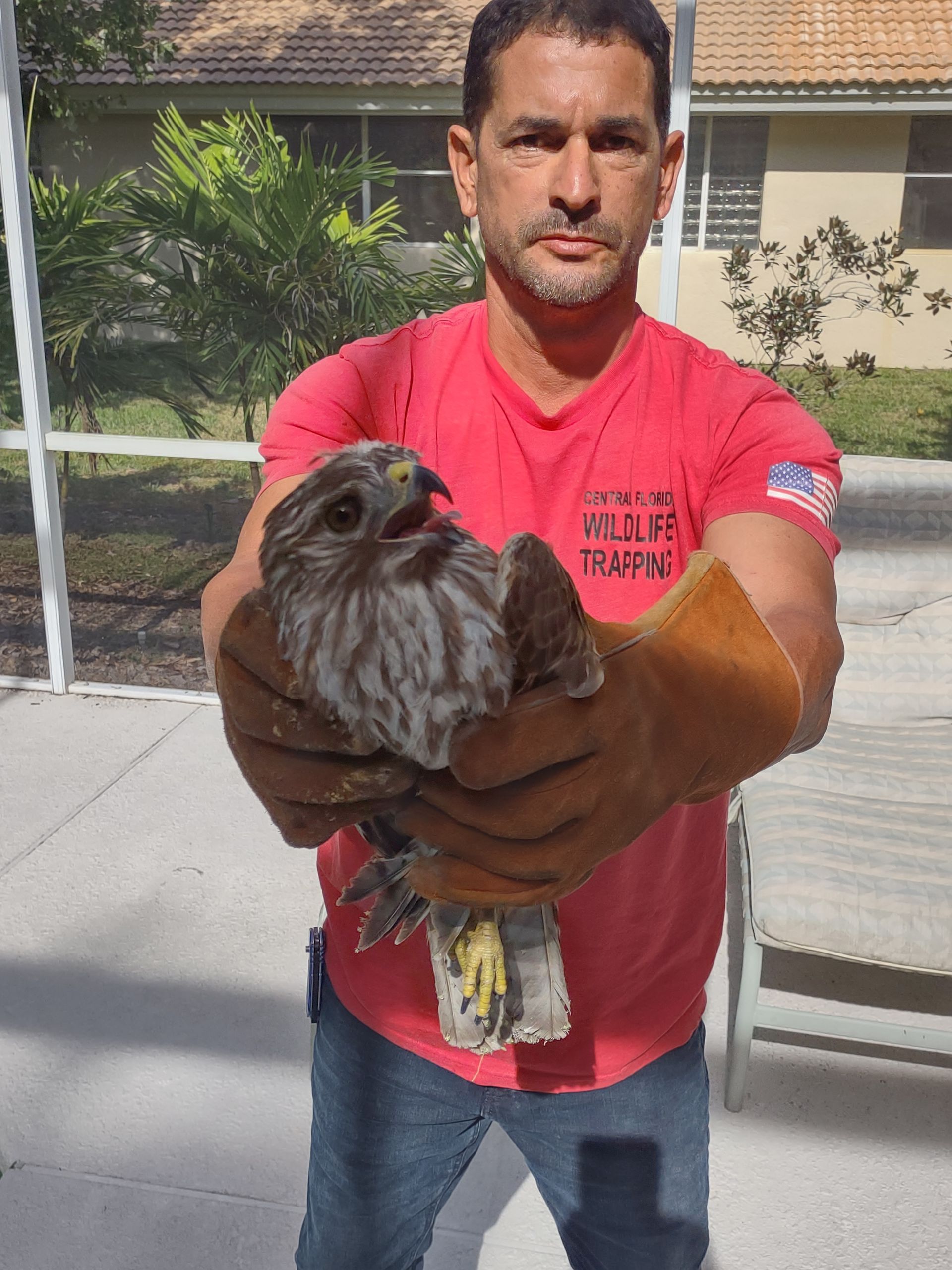 Man in a red shirt holding a small bird toward the camera outdoors