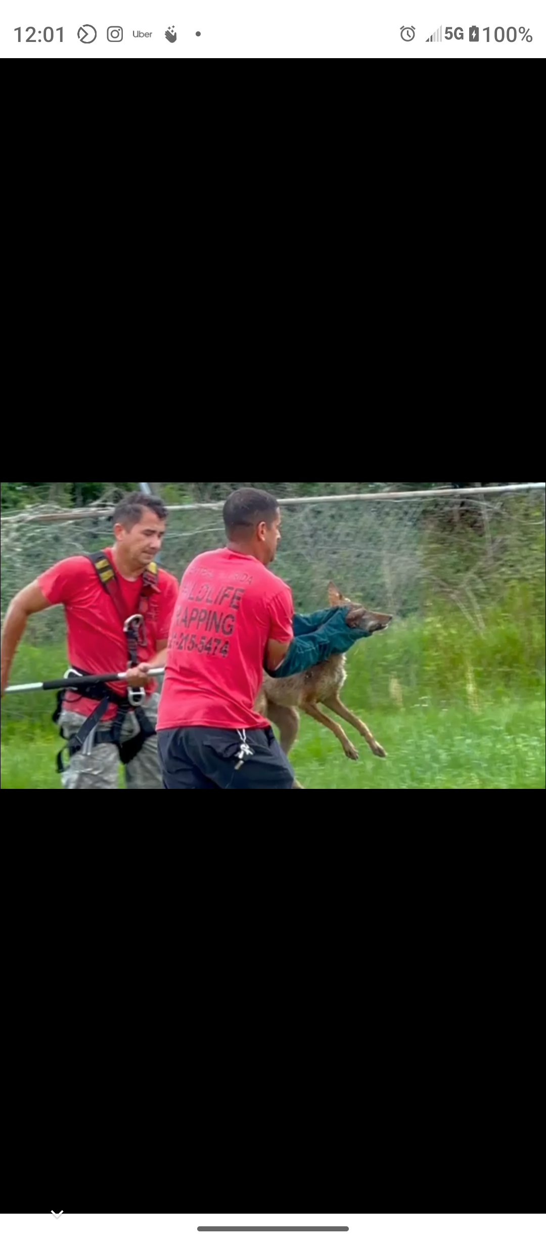 Two men are playing with a dog in a field.