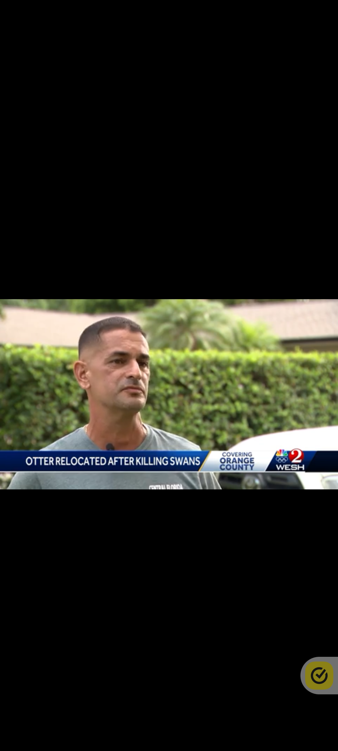 A man is standing in front of a hedge on a news channel.
